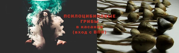 метадон Липки
