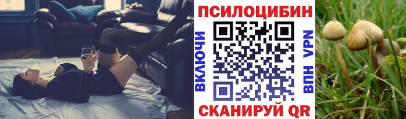 Галлюциногенные грибы мухоморы  Купить закладки  Шумерля 